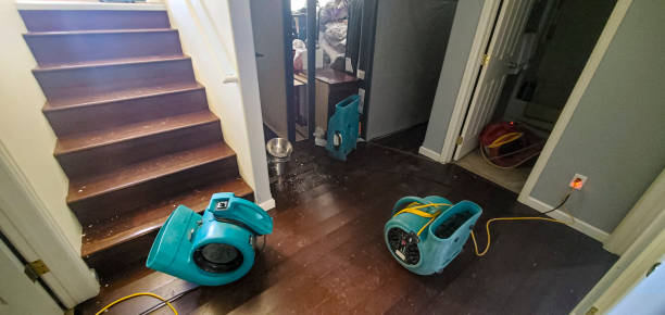 Best Flood restoration services  in Ozona, TX