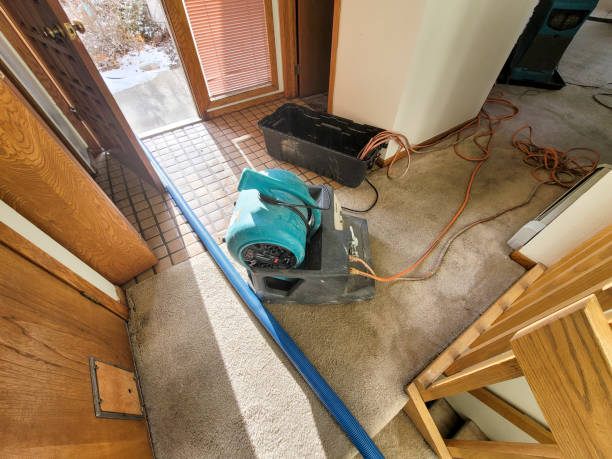 Best Sewage cleanup and water damage restoration  in Ozona, TX