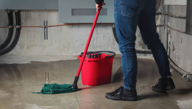 Best Carpet water damage restoration  in Ozona, TX