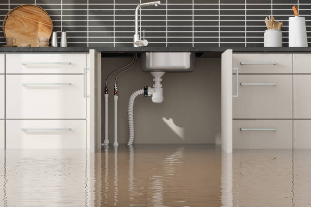  Ozona, TX Water damage restoration Pros