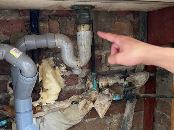 Best 24-hour water damage restoration  in Ozona, TX