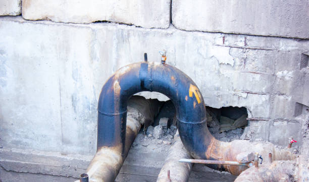 Best Water damage restoration near me  in Ozona, TX