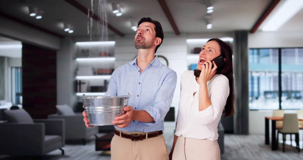 Best Mold removal after water damage  in Ozona, TX